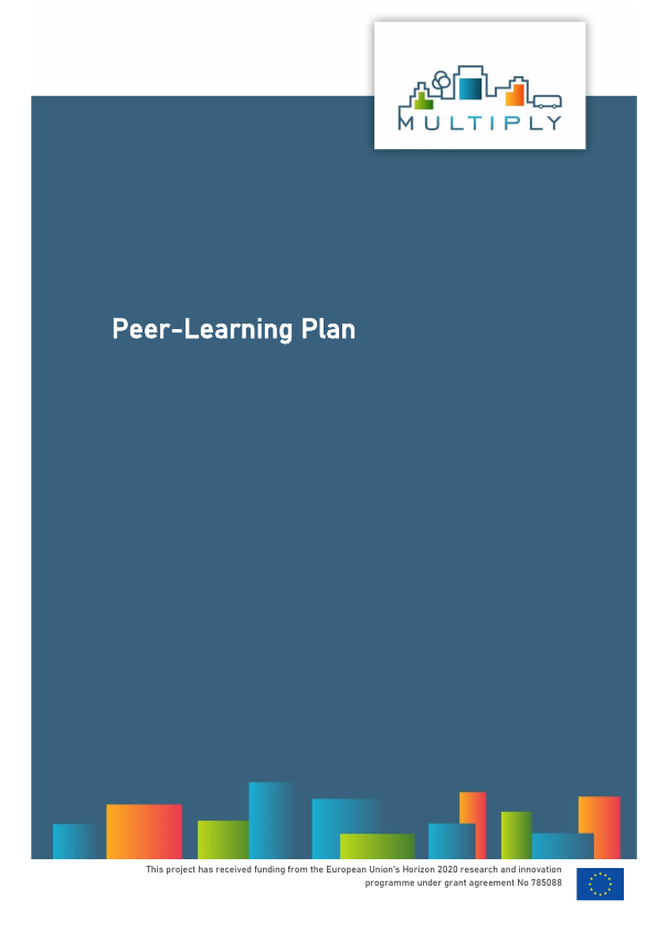 Peer Learning Plan homepage 01